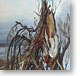  .  . . 1971 .              www.openmoscow.ru