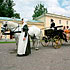        -.  , 6,     ,  29     www.openmoscow.ru